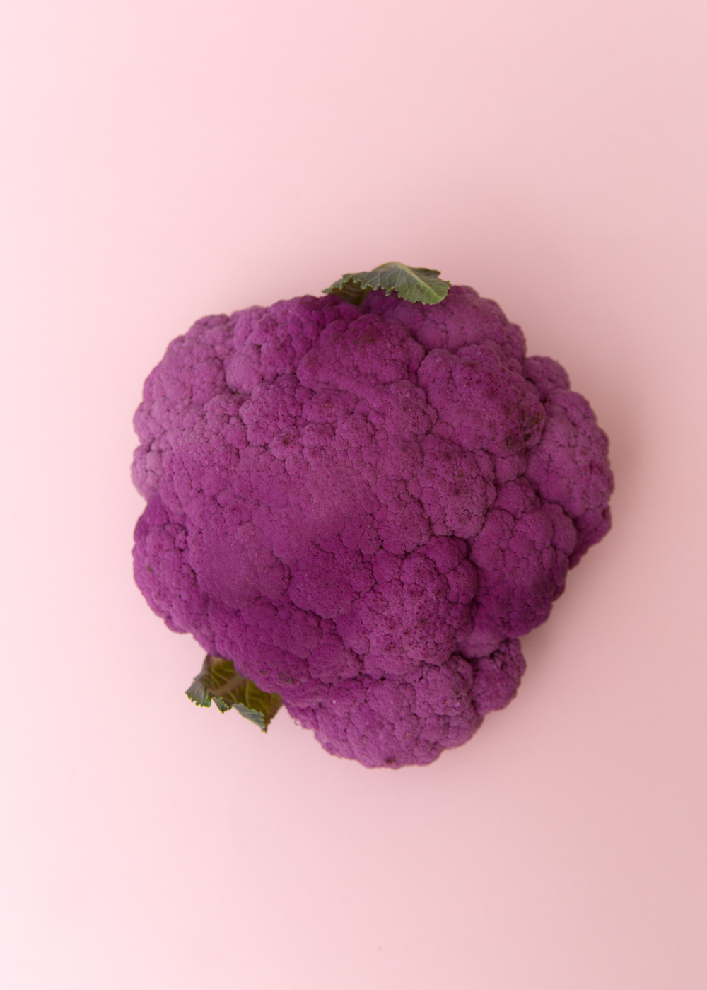 sweatthestyle_purplecauliflower